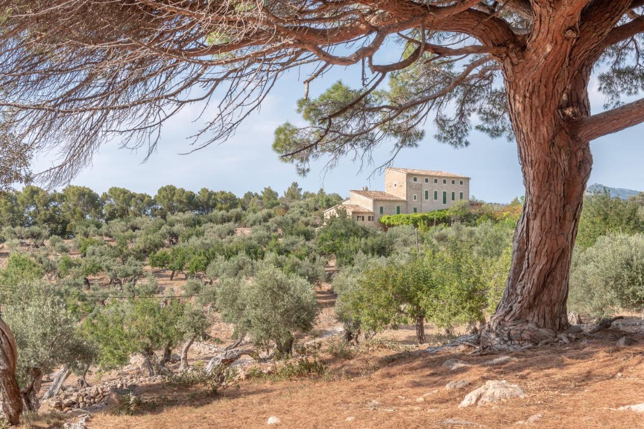 Deia Semi-Detached Sunny Country House, Near Gr221 Εξωτερικό φωτογραφία
